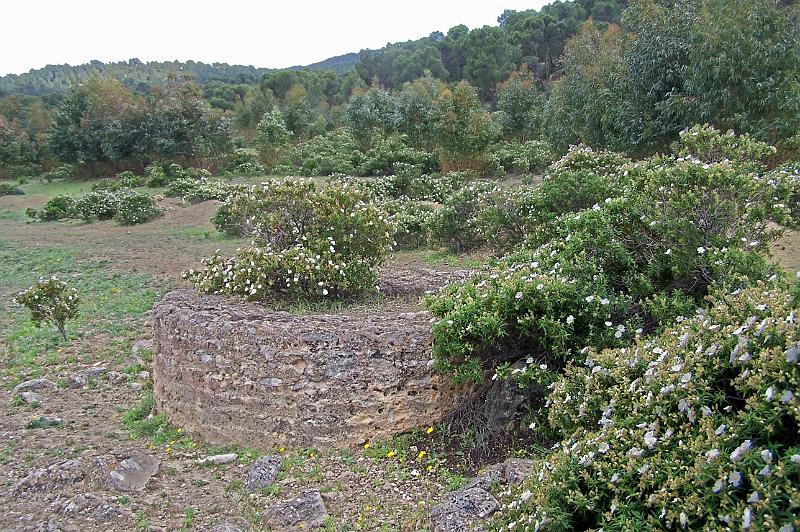 Carthage - Ain Jouggar 100000.jpg